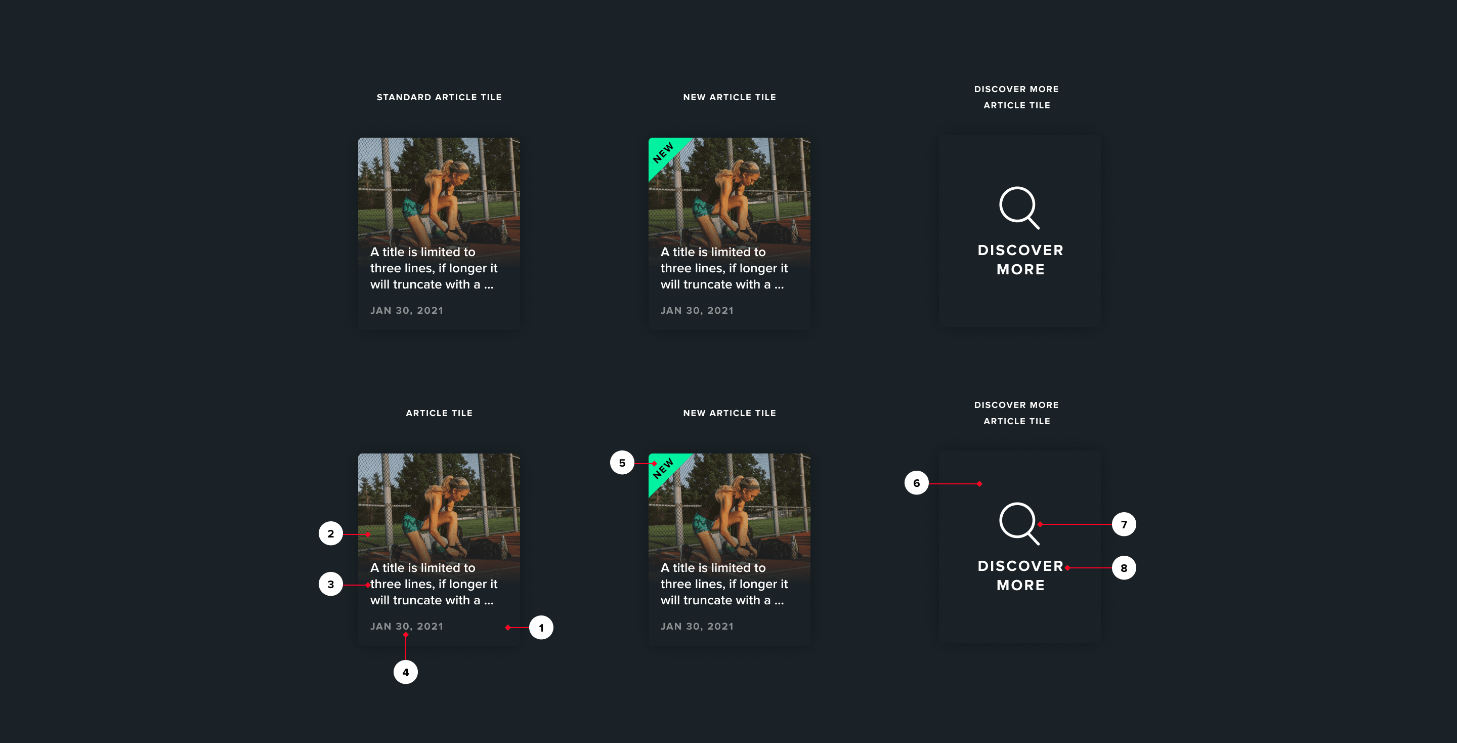 article_tiles_anatomy